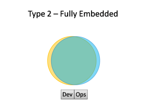 Type 2 DevOps - Fully Embedded