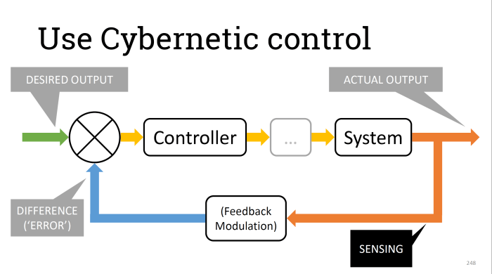 2017-11-07--Cybernetic-control